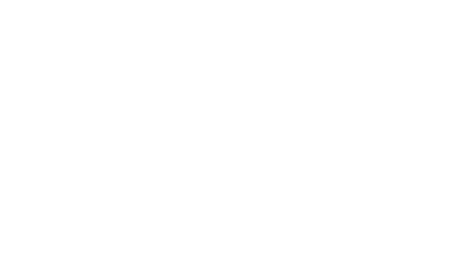 IVECO S-WAY